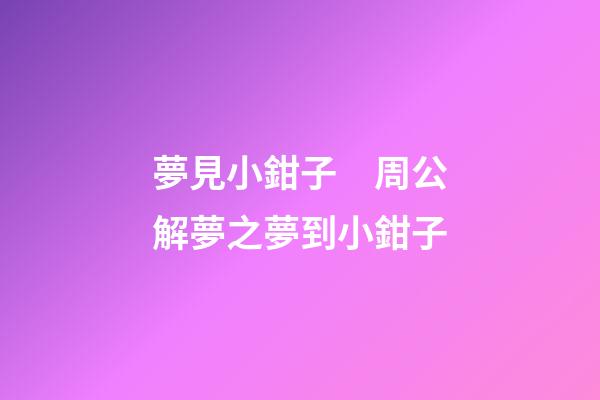 夢見小鉗子　周公解夢之夢到小鉗子